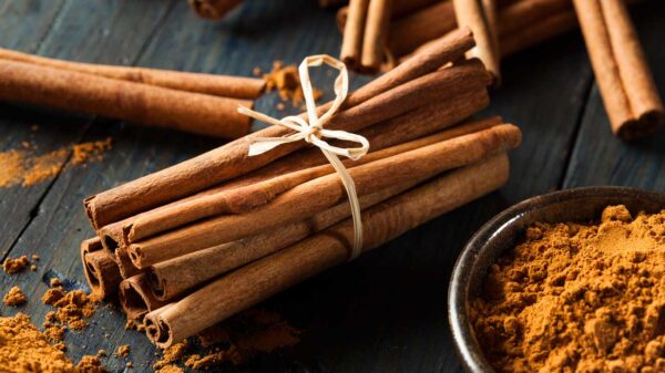 Cinnamon (দারুচিনি) - Image 2